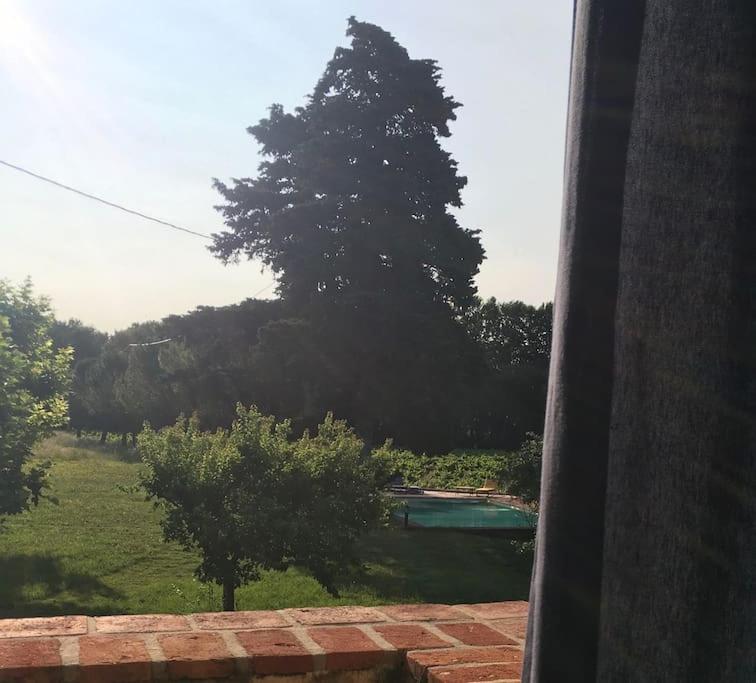 Gite Des Amis Domaine De Mas Caron Caromb Екстериор снимка