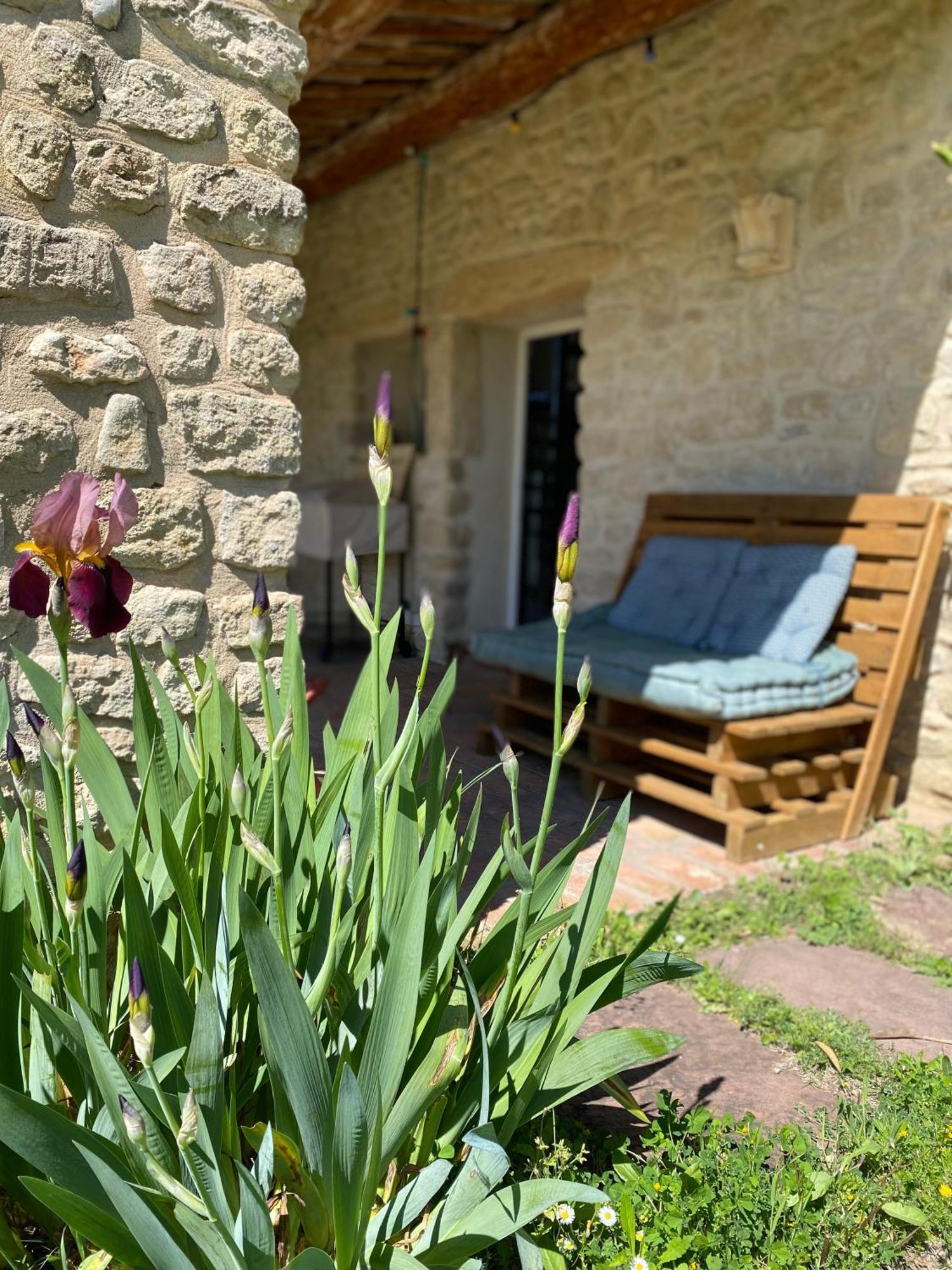 Gite Des Amis Domaine De Mas Caron Caromb Екстериор снимка